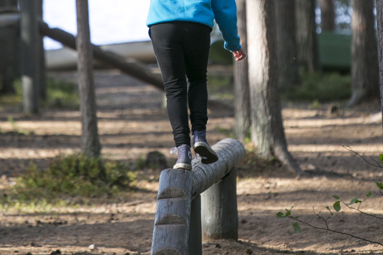 Stunt and low-rope course