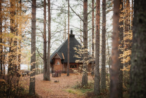 Rannan kota syksyisessä metsässä.