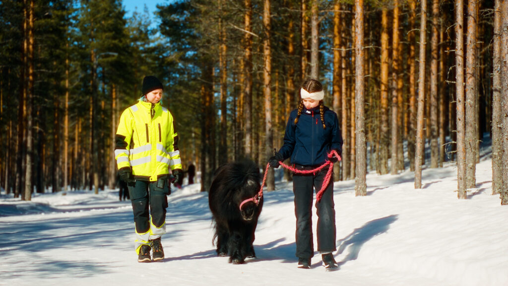 Nuori taluttaa ponia talvisessa metsässä.