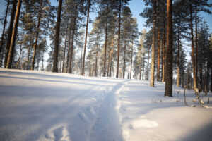 Tsemppi-loma eläkeläisille